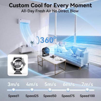 CoolBreeze Desk Fan