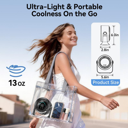 CoolBreeze Desk Fan